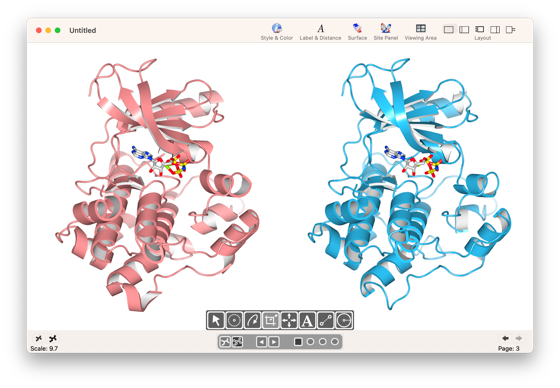洋書 Homology Modeling: ホモロジーモデリング方法 プロトコル